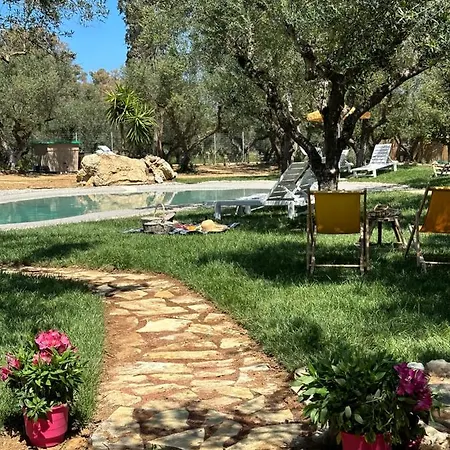 Inn Thires Vasilikos (Zakynthos)