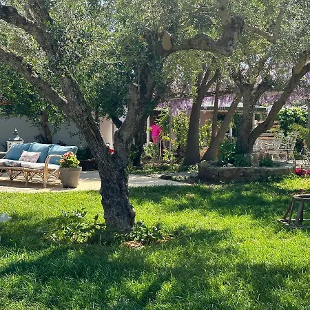 Thires Inn Vasilikos (Zakynthos)