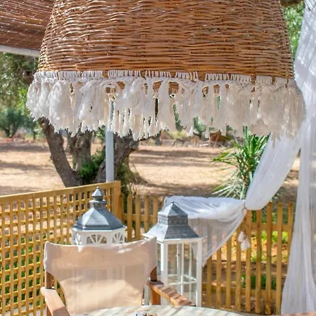 Inn Thires Vasilikos (Zakynthos)
