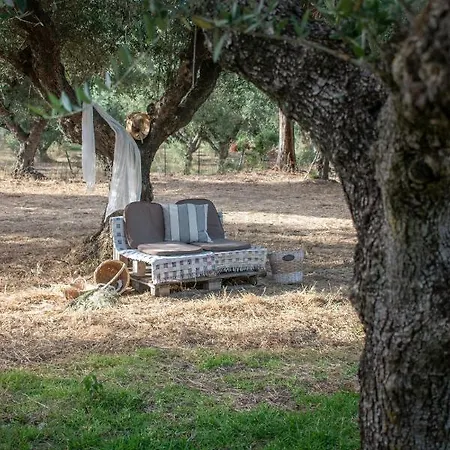 Thires Inn Vasilikos (Zakynthos)